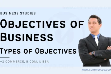 meaning and objectives of business explained