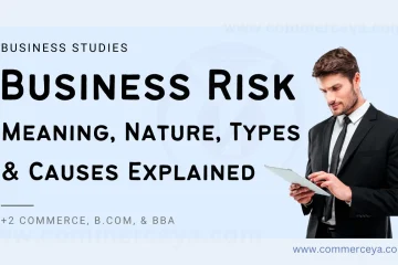 meaning, nature, causes, and types of business risks