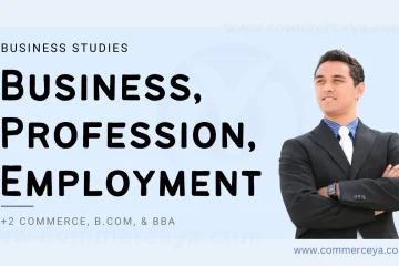 differences between business, profession, and employment in business studies - long question and answer