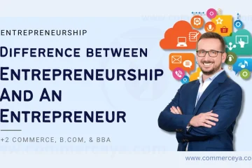 differences between entrepreneur and entrepreneurship