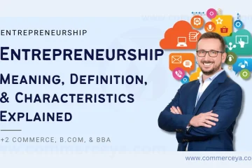 meaning, definition, and characteristics of entrepreneurship