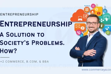 how entrepreneurship is a solution to society's problems?