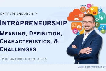 Intrapreneurship - Meaning, Definitions, History, Characteristics, and Challenges