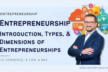 What is Entrepreneurship? Introduction, 6 Dimensions, and Types of Entrepreneurships